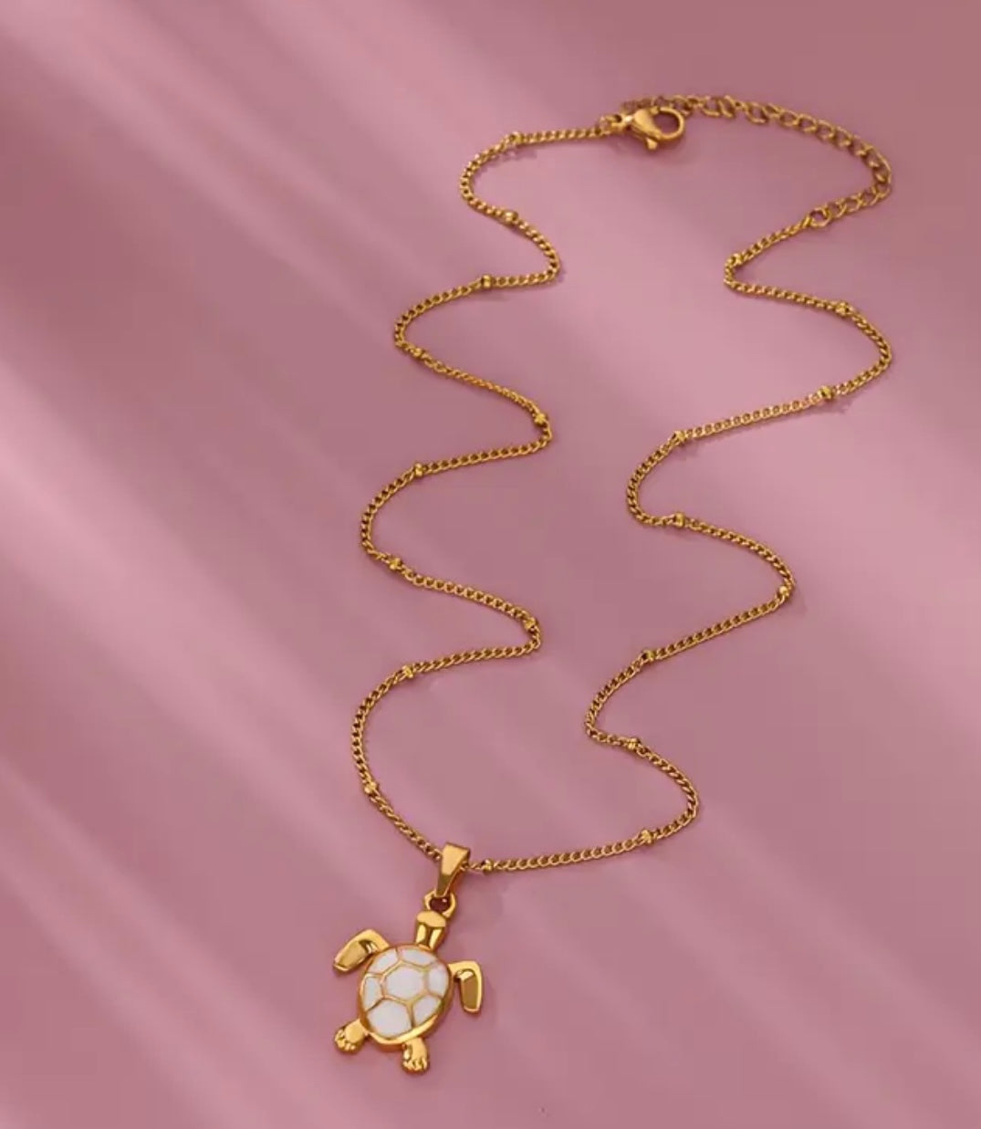 Hermoso collar de tortuga en acero inoxidable.