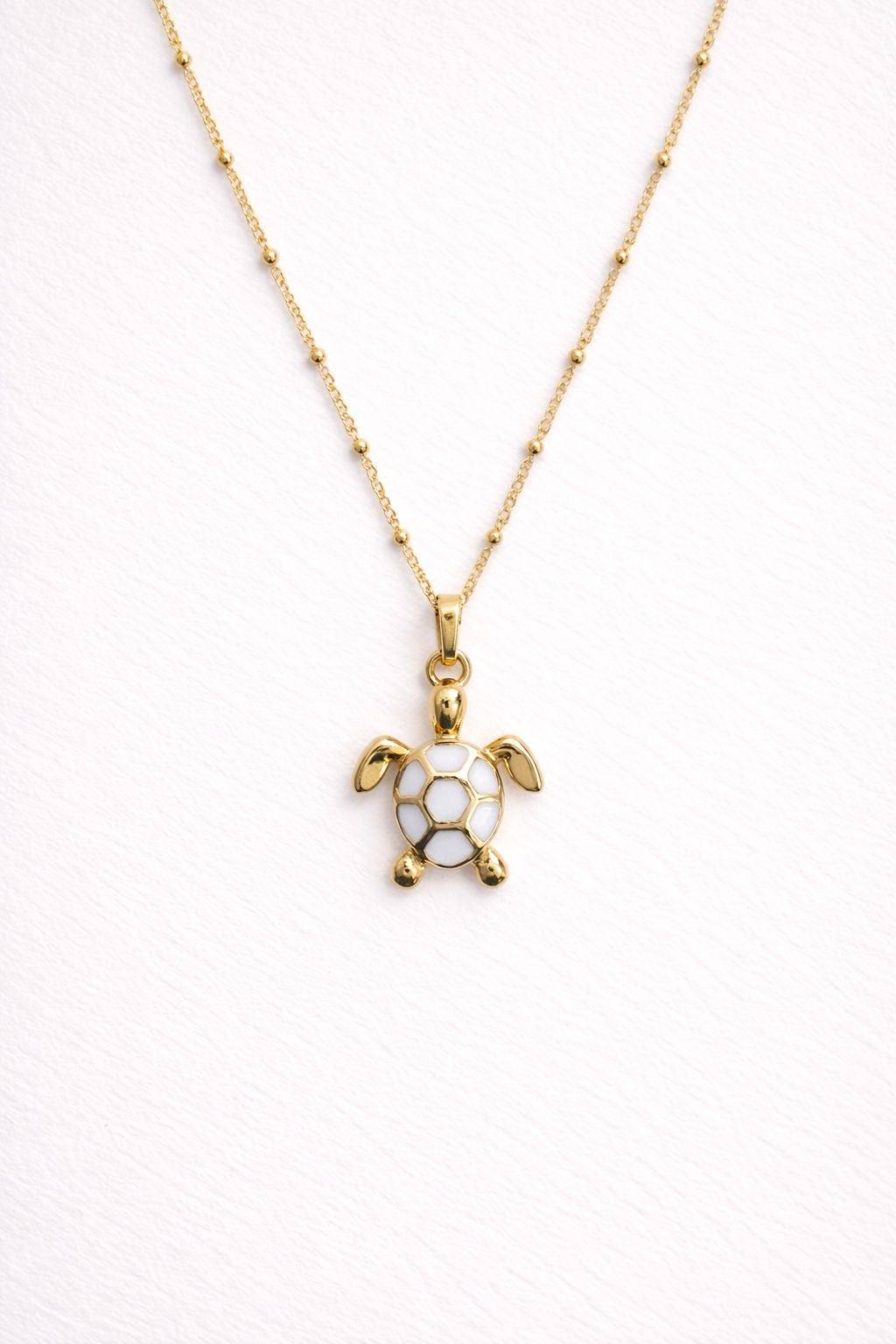 Hermoso collar de tortuga en acero inoxidable.